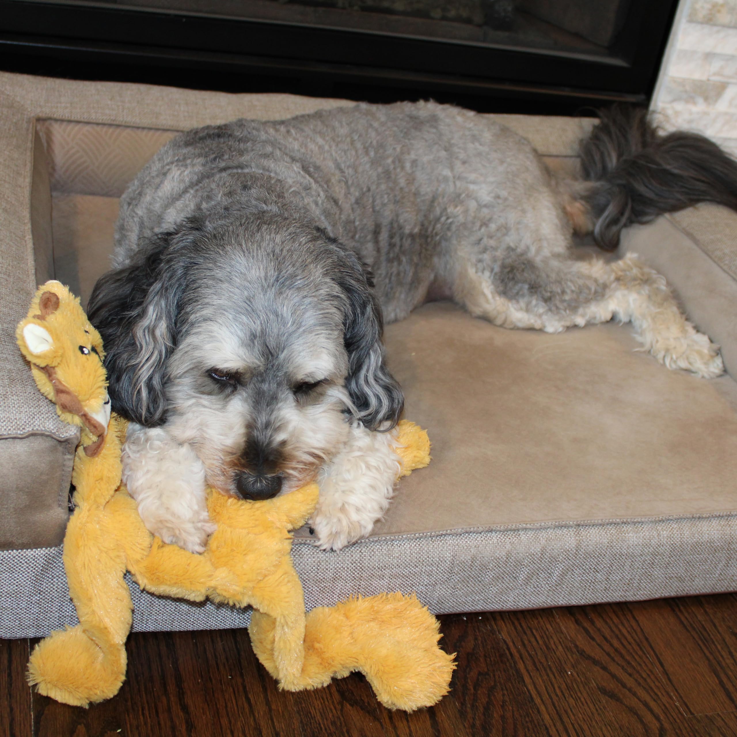 Pet Supplies : Pet Squeak Toys : SPOT Skinneeez Tons-O-Squeakers